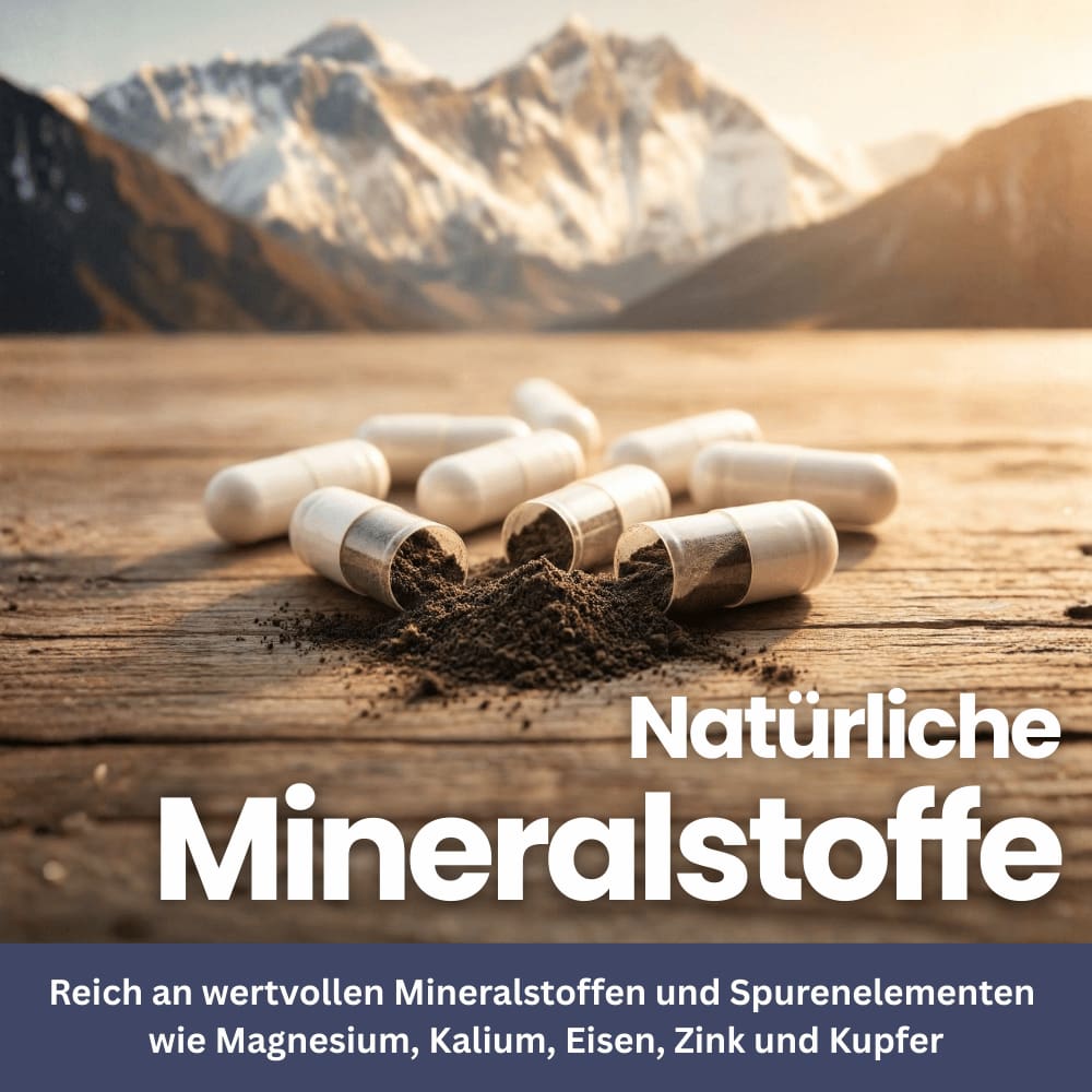 Shilajit Vital – Natural Mineral Formula (Capsules)