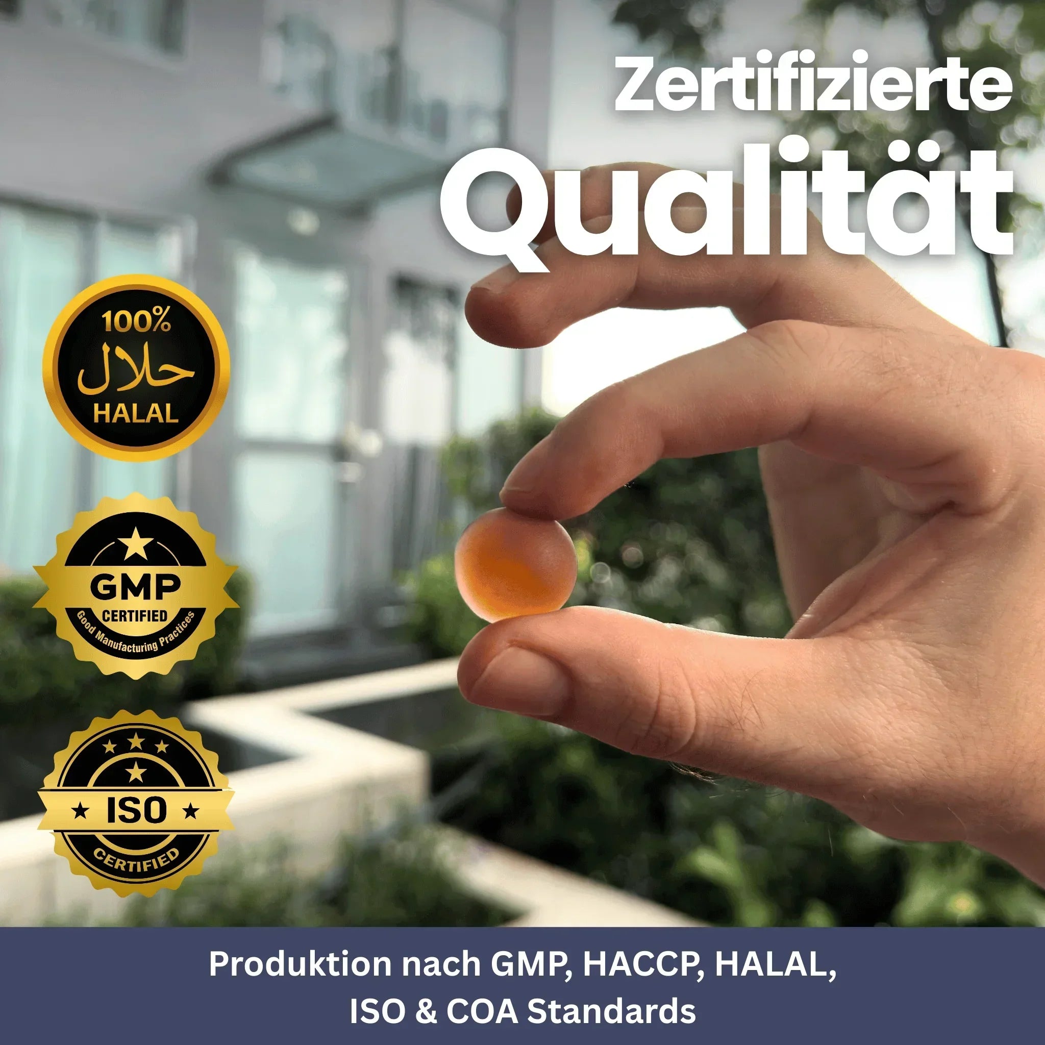 Shilajit Gold Gummies